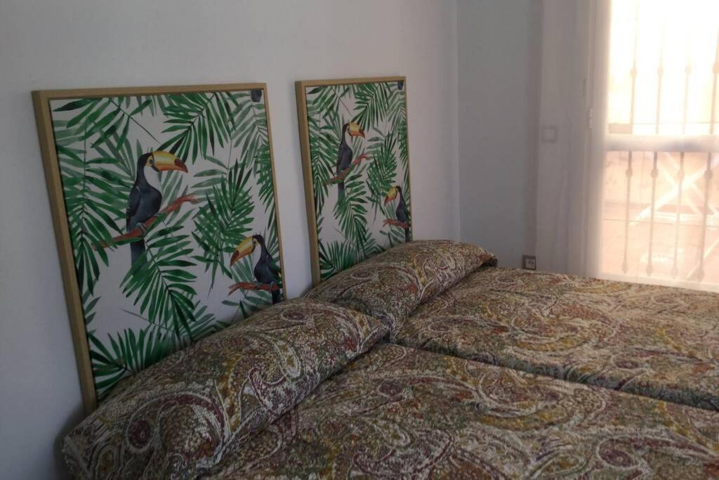 Duplex Muy Cerca De La Playa Y Del Centro Leilighet Tarifa Eksteriør bilde